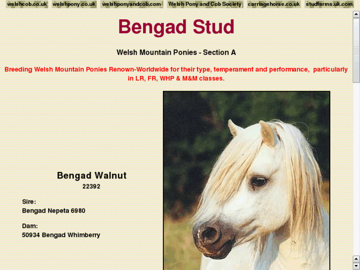 www.bengad.com