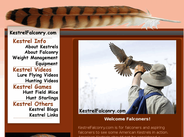 www.falconryvids.com