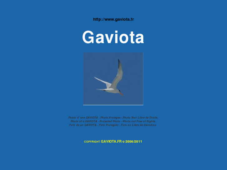 www.gaviota.fr