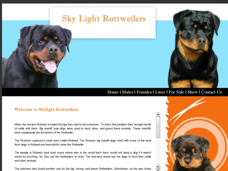 www.skylightrottweilers.com