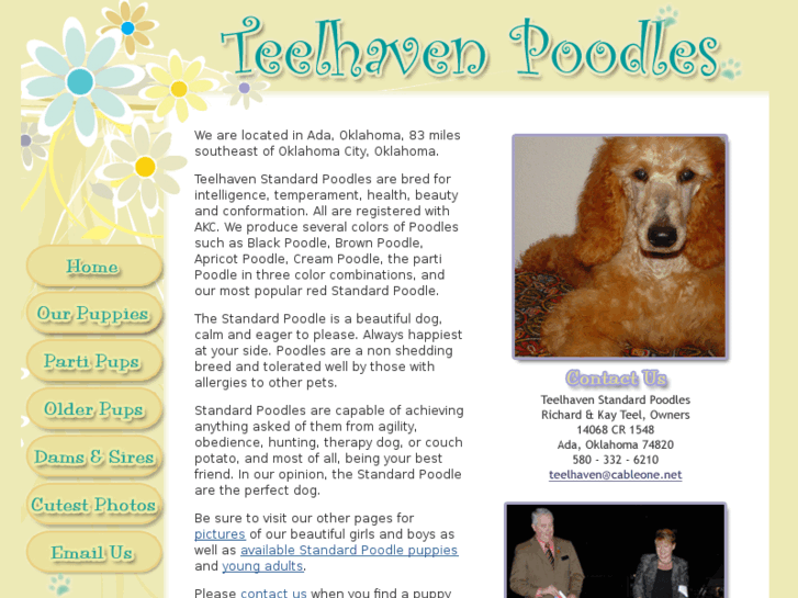 www.teelhavenpoodles.com