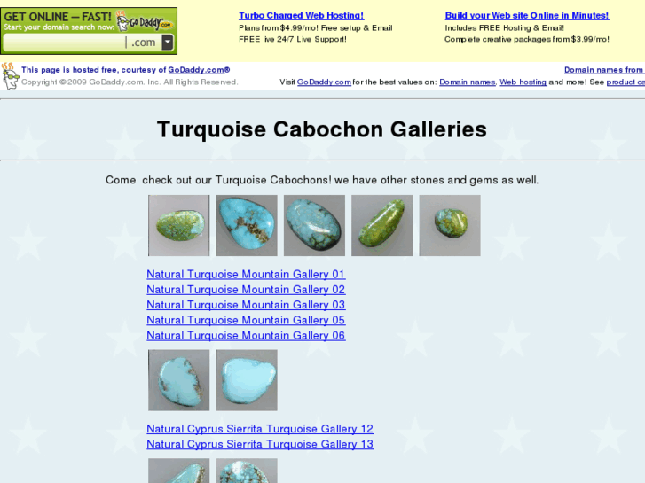 www.turquoise-cabs.com