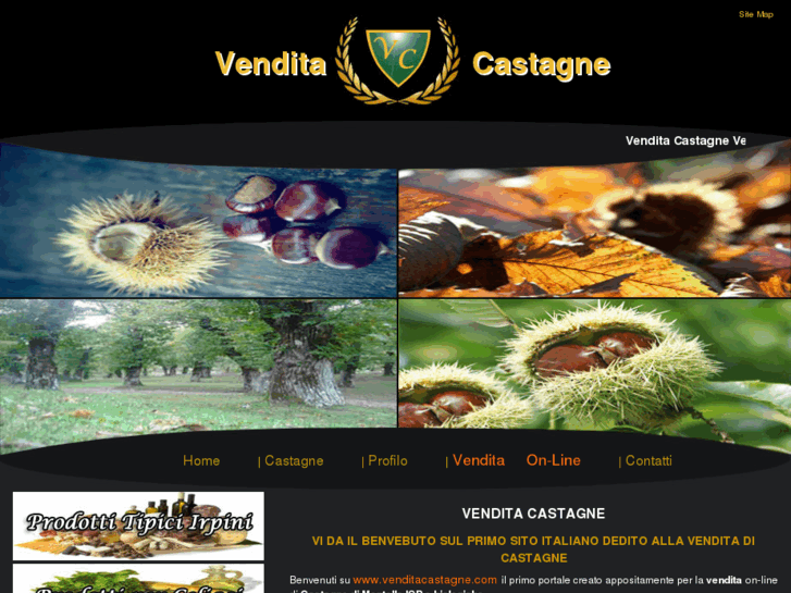 www.venditacastagne.com