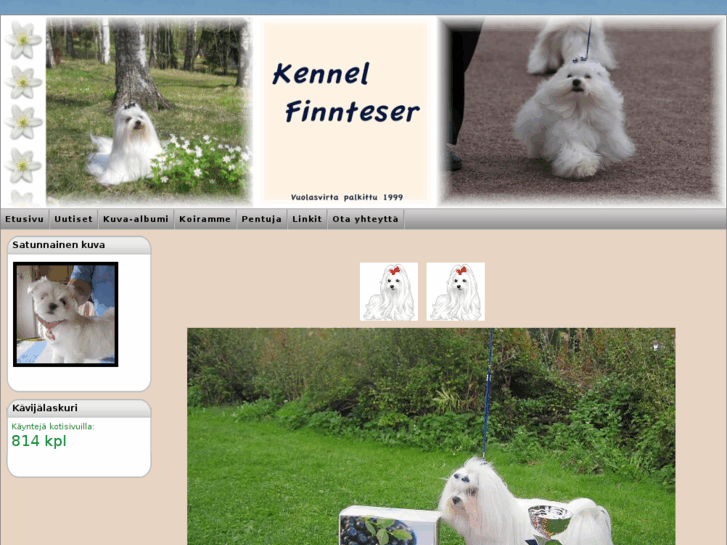 www.finnteser.com