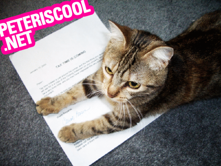 www.peteriscool.net