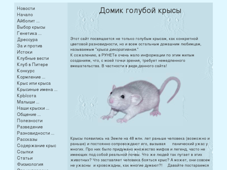 www.rat.ru