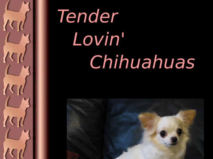 www.tenderlovinchihuahuas.com