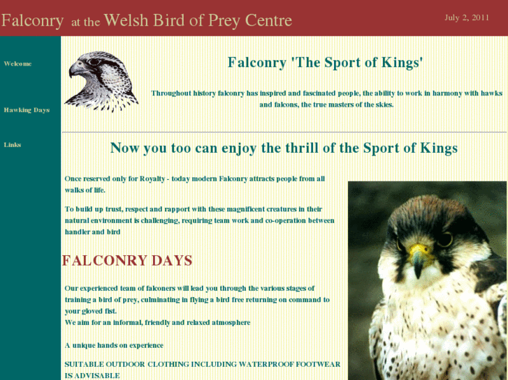 www.welshbirdofpreycentre.com