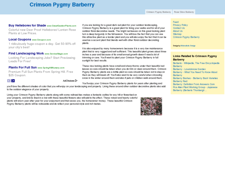 www.crimsonpygmybarberry.com