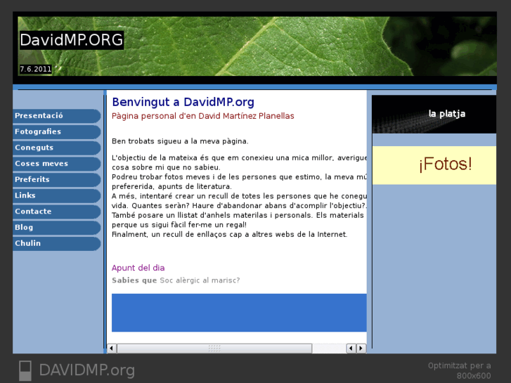 www.davidmp.org