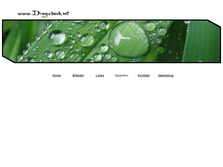www.dragsbaek.net