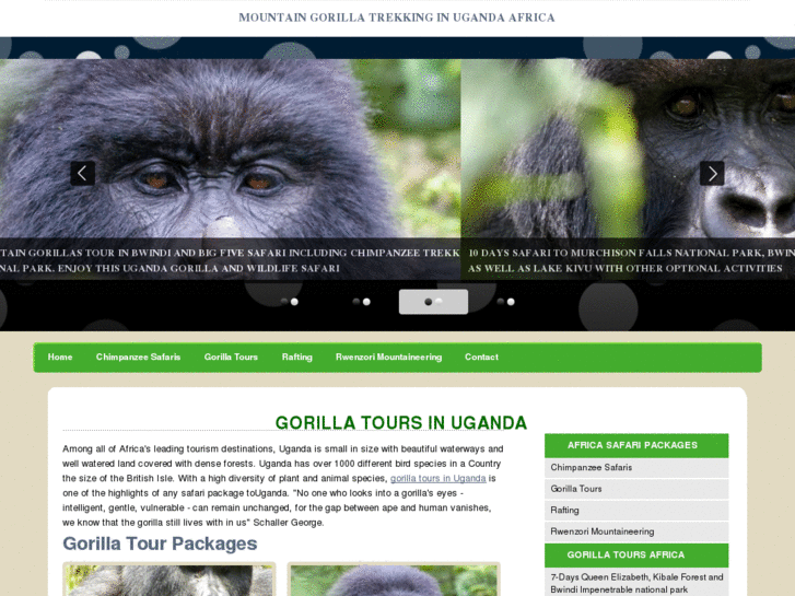 www.gorillatoursinuganda.com