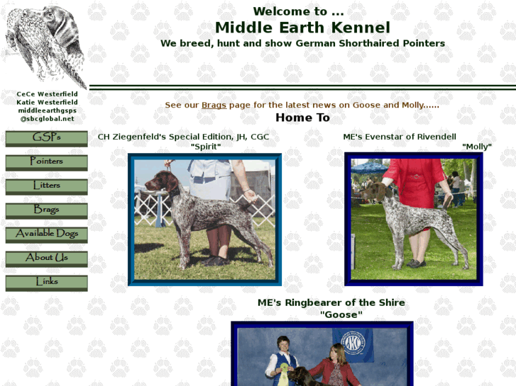 www.middleearthgsp.com