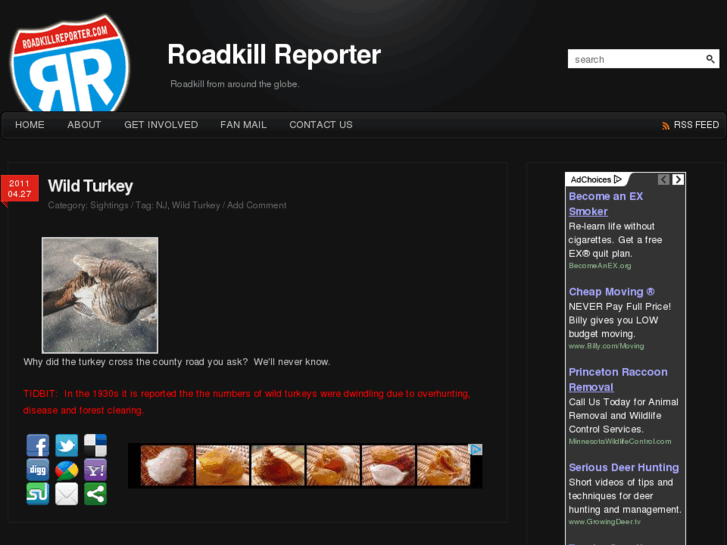 www.roadkillreporter.com