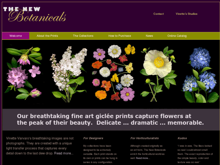 www.thenewbotanicals.com