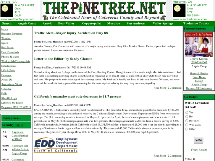 www.thepinetree.com