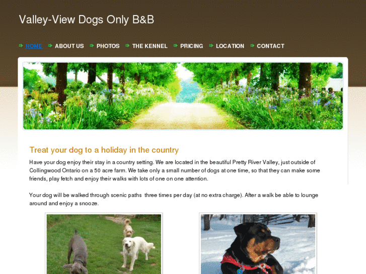 www.valleyviewdog.com