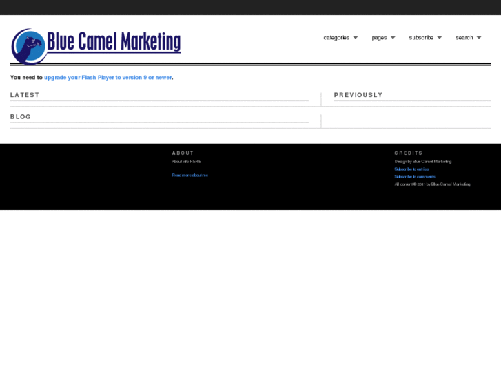 www.bluecamelmarketing.com