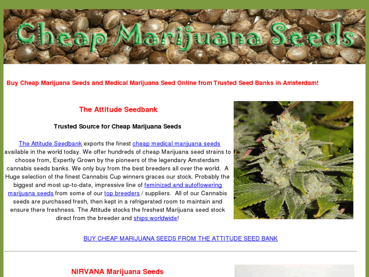 www.cheap-marijuana-seeds.com