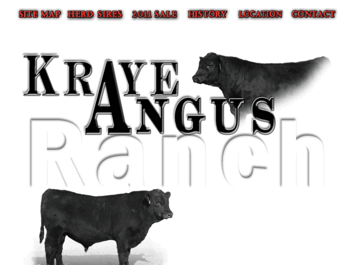 www.krayeangus.com