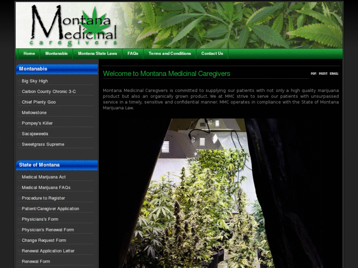 www.montanabiscannabis.com