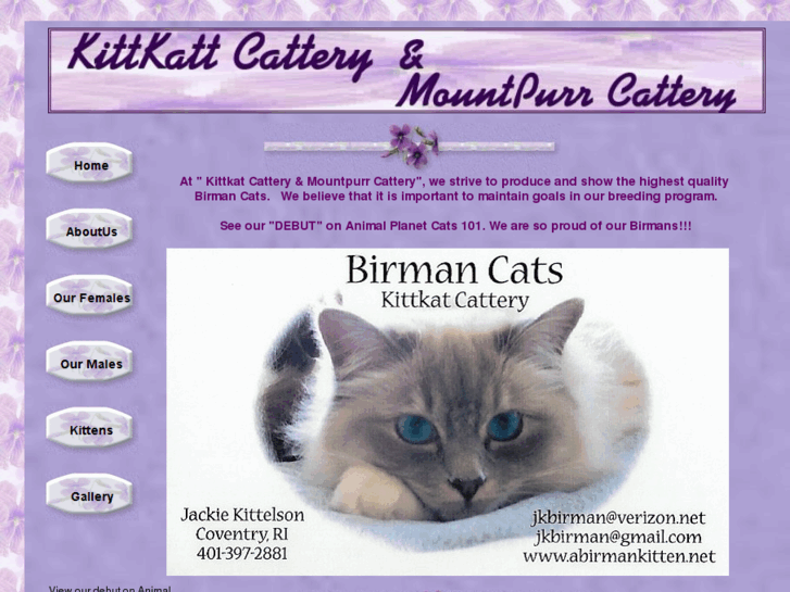 www.abirmankitten.net