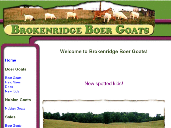 www.brokenridgeboergoats.com