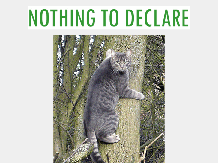 www.cat-up-a-tree.info