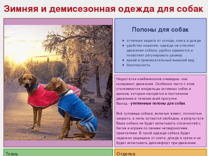 www.dog-club.ru