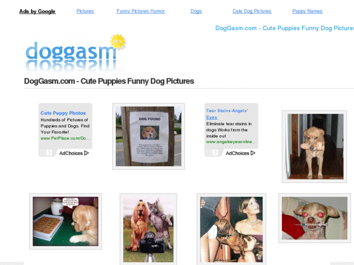 www.doggasm.com