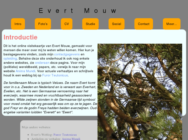 www.evertmouw.nl