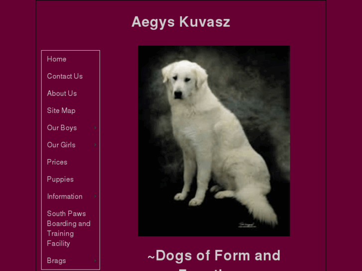 www.kuvasz.net