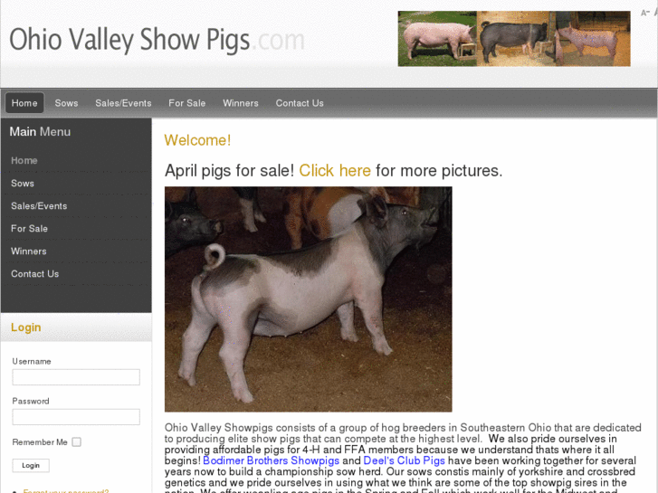 www.ohiovalleyshowpigs.com