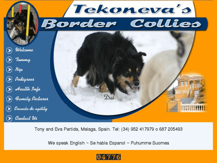 www.tekonevasbordercollies.com