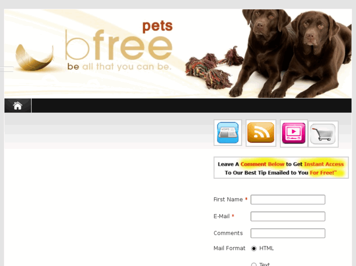 www.bfreepets.com