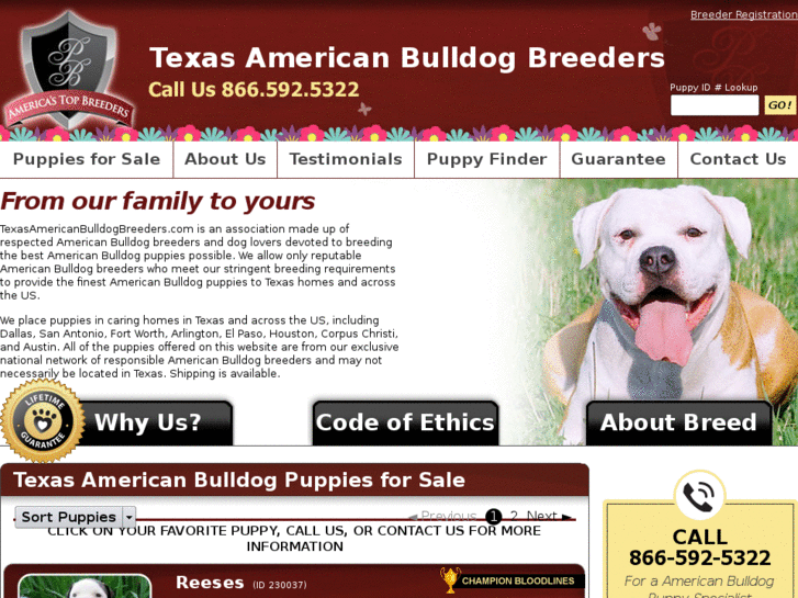 www.texasamericanbulldogbreeders.com