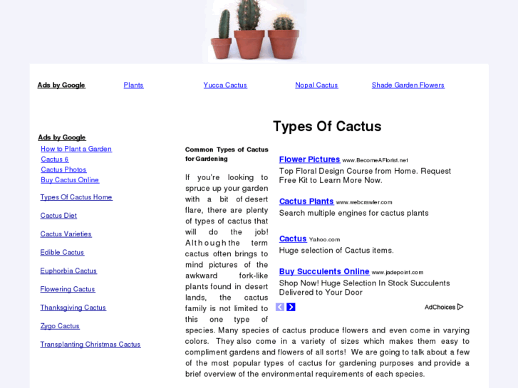 www.typesofcactus.net