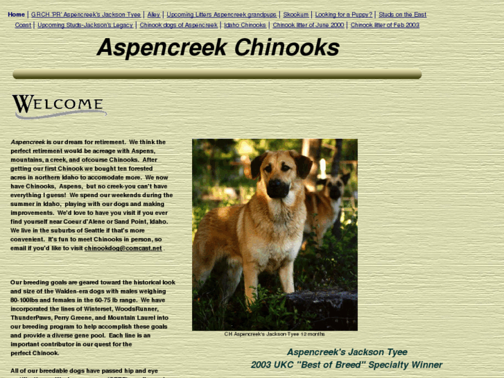 www.aspencreekchinooks.com