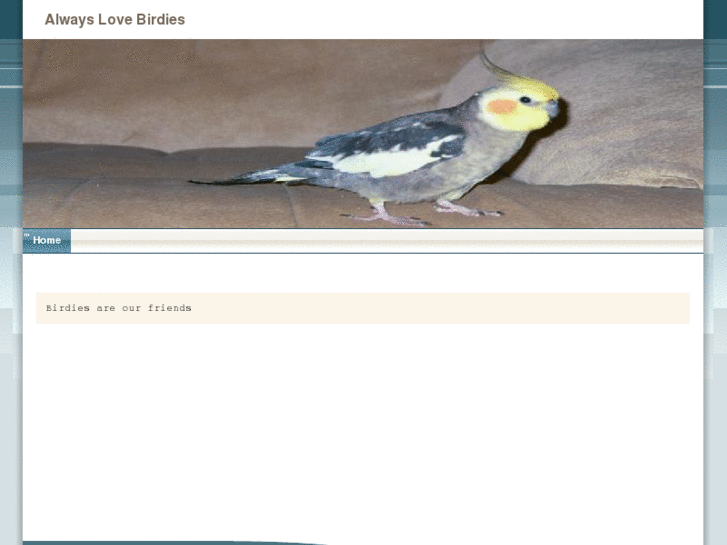 www.birdsr.com