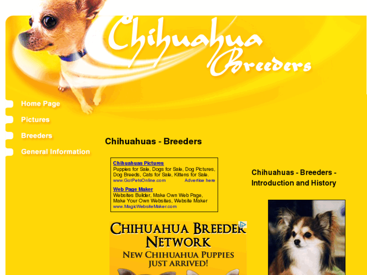 www.chihuahua-breeders.org