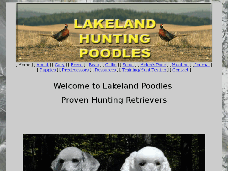 www.lakelandhuntingpoodles.com