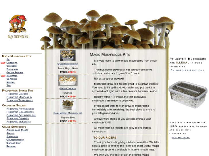 www.magic-mushrooms-kits.com