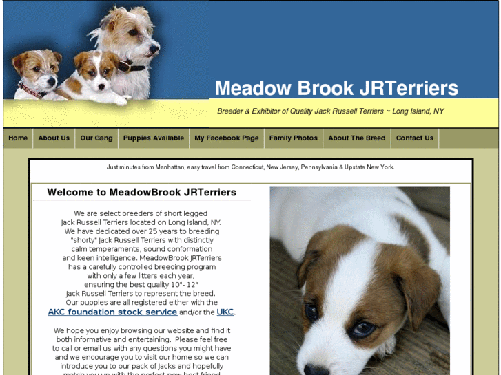 www.meadowbrookterriers.com