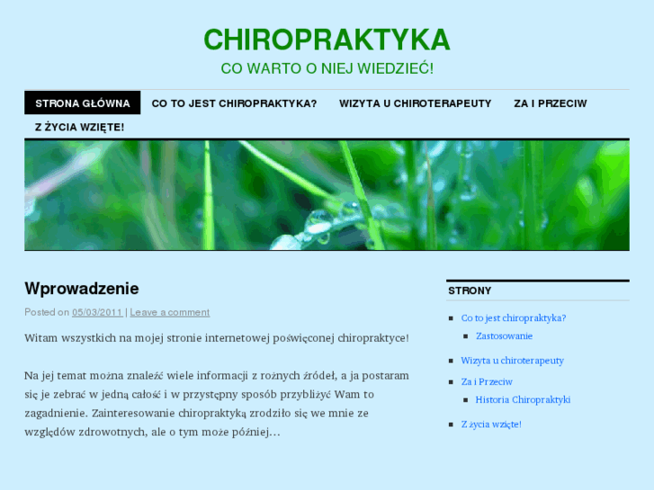 www.chiroterapia.info