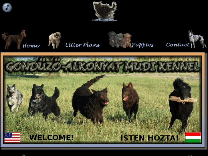 www.mudikennel.com