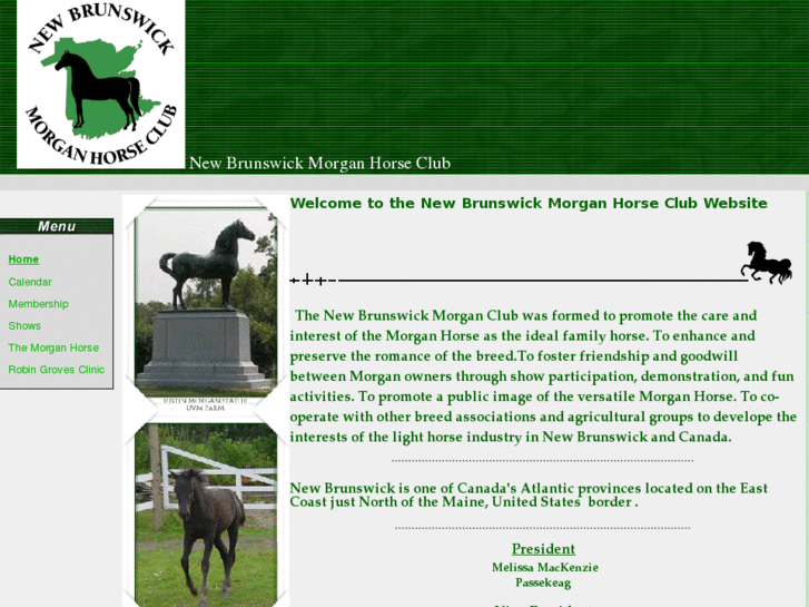 www.nbmorganhorseclub.info