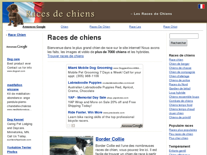 www.race-chien.org