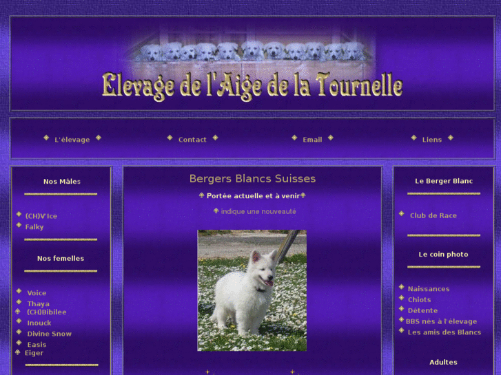 www.aigedelatournelle.com