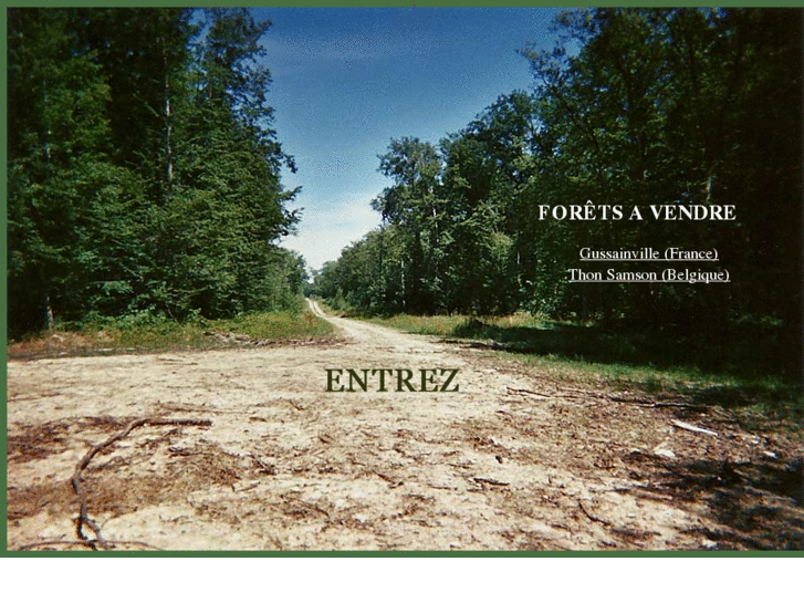 www.investissements-forestier.com