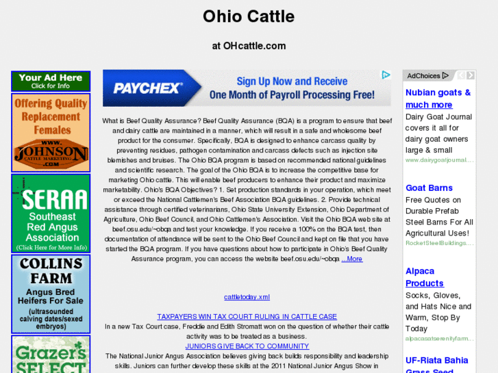 www.ohcattle.com